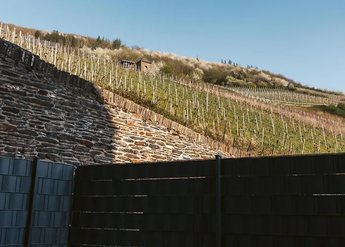 아파트 Alte Schule